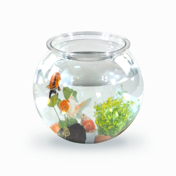 Pecera pequeña redonda | PET eco | 4L | Peces pequeños | Fácil limpieza | 20x20x17,5cm | Jardín acuático | Nemo | Mobiclinic