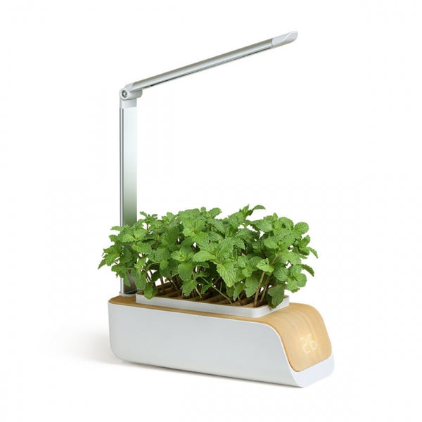 Huerto urbano LED automática | Cultivo sin luz natural | Altura y ángulo ajustables | 4,5 W | Mini-grow | Mobiclinic